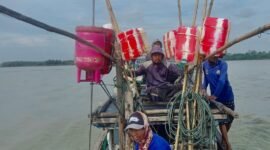 PHE OSES bersama kelompok nelayan melakukan pemasangan Rumpon di perairan Desa Margasari, Kecamatan Labuhan Maringgai, Lampung Timur.
Sumber: Head of Communication, Relations & CID Zona 6 PHE OSES 