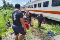 Kereta Api Tabrak bus Putra Sulung di Oku Timur.
Sumber: dok warga.