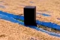 Speaker jadi penunggu jemuran padi. Sumber: Tangkapan layar akun TikTok @prayogghy_cilacap