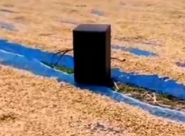 Speaker jadi penunggu jemuran padi. Sumber: Tangkapan layar akun TikTok @prayogghy_cilacap