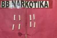 Barang bukti yang berhasil diamankan polisi.
Sumber: Agus Sahroni/Humas Polres Lampung Timur