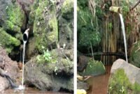 Kolase foto, arus air sungai Way Pandan. Sumber: dok warga