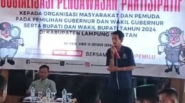 Ketua IWO Lampung Selatan Yudi Pratama, saat menyampaikan materi di acara Sosialisasi Pengawasan Partisipatif yang digelar oleh Bawaslu. Sumber: IWO/DRI