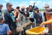 Suasana panen udang vaname. Sumber: ASA