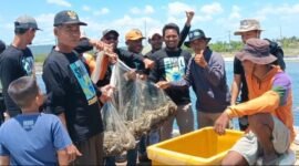 Suasana panen udang vaname. Sumber: ASA