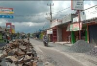 Kondisi jalan di Desa Muara Gadingmas, Kecamatan Labuhan Maringgai, Lampung Timur, Selasa 19 November 2024. Sumber: Hadi Jakariya