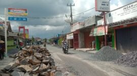 Kondisi jalan di Desa Muara Gadingmas, Kecamatan Labuhan Maringgai, Lampung Timur, Selasa 19 November 2024. Sumber: Hadi Jakariya