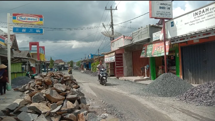Kondisi jalan di Desa Muara Gadingmas, Kecamatan Labuhan Maringgai, Lampung Timur, Selasa 19 November 2024. Sumber: Hadi Jakariya