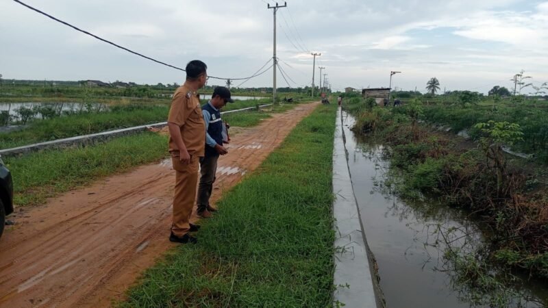 Kondisi irigasi di Desa Muara Gadingmas setelah dilakukan pembangunan. Sumber: DS