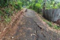 Penampakan jalan retak akibat hujan Intensitas tinggi di Kampung Cihonje, Desa Sukamaju, Kecamatan Cikembar, Kabupaten Sukabumi, Jawa Barat. Sumber: ANTARA