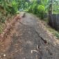 Penampakan jalan retak akibat hujan Intensitas tinggi di Kampung Cihonje, Desa Sukamaju, Kecamatan Cikembar, Kabupaten Sukabumi, Jawa Barat. Sumber: ANTARA