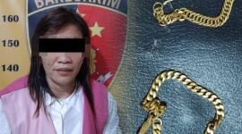 Atas perbuatannya, NS dijerat dengan Pasal 378 dan/atau 372 KUHP tentang penipuan dan penggelapan. Sumber: Tribrata News