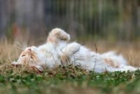 Photo by <a href="https://unsplash.com/@motosha" rel="nofollow">Salah Ait Mokhtar</a> on <a href="https://unsplash.com/?utm_source=hostinger&utm_medium=referral" rel="nofollow">Unsplash</a> 