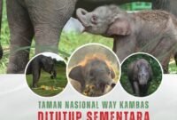 TN Way Kambas tutup sementara objek wisata./btn_waykambas