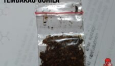 Barang bukti dari dua pelaku yang diamankan polisi./Ist