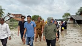 Bupati Ela Siti Nuryamah, saat melakukan peninjauan jembatan di Way Bungur, Senin (2/2/2026)./Ist