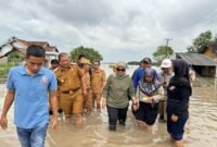Bupati Lampung Timur Ela Siti Nuryamah, bersama rombongan saat meninjau lokasi jembatan Way Bungur./Ist