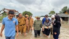 Bupati Lampung Timur Ela Siti Nuryamah, bersama rombongan saat meninjau lokasi jembatan Way Bungur./Ist