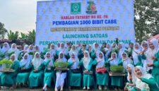  Kader Fatayat NU diberi bibit cabai bentuk mendukung program ketahanan pangan /Agus Susanto