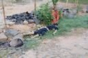 Jenazah seorang pria ditemukan tergeletak di dekat parit di area permukiman warga Desa Setia Batin, Kecamatan Labuhan Maringgai, Lampung Timur, Senin (17/8/2026) pagi. (Hadi Jakariya)