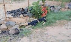 Pria Ditemukan Tewas di Atas Parit Rumah Warga Lampung Timur