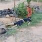 Jenazah seorang pria ditemukan tergeletak di dekat parit di area permukiman warga Desa Setia Batin, Kecamatan Labuhan Maringgai, Lampung Timur, Senin (17/8/2026) pagi. (Hadi Jakariya)