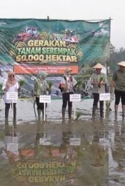 Kejar Swasembada Pangan, Kementan Percepat Tanam Serentak di 25 Provinsi