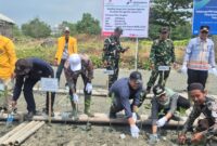 Sejumlah pejabat dan pemangku kepentingan melakukan penanaman bibit mangrove dalam kegiatan rehabilitasi kawasan pesisir di Desa Muara Gading Mas, Kecamatan Labuhan Maringgai, Lampung Timur, September 2026. Program kolaborasi PHE OSES dan pemerintah daerah ini bertujuan menjaga ekosistem pesisir serta memperkuat perlindungan alami dari abrasi dan banjir rob. (Foto:Ist)